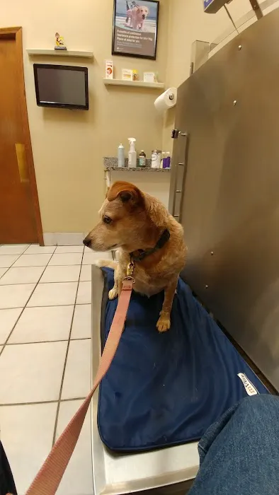 Marrero Veterinary Clinic 5