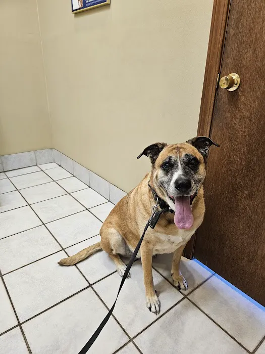 Marrero Veterinary Clinic 9