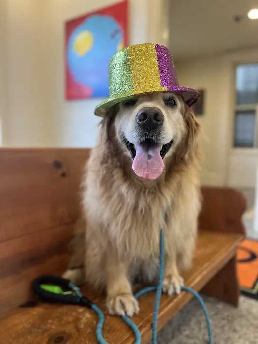 Pet Care Center Esplanade 8