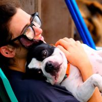 Crescent City Veterinary Hospital ico