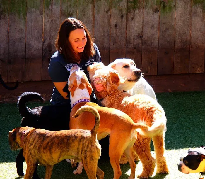Crescent City Veterinary Hospital 3