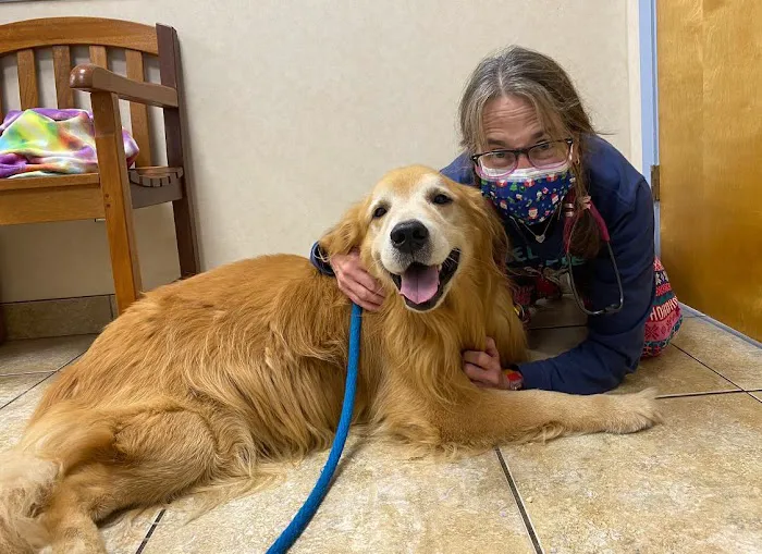 Crescent City Veterinary Hospital 4