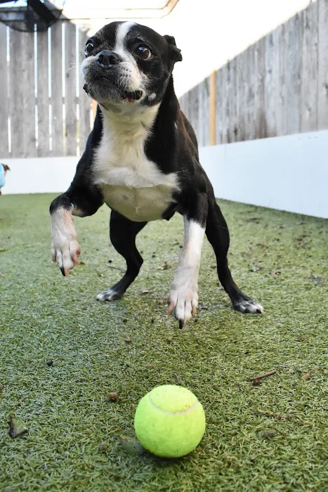 Crescent City Veterinary Hospital 5