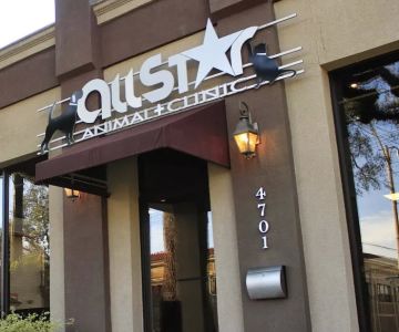 All Star Animal Clinic