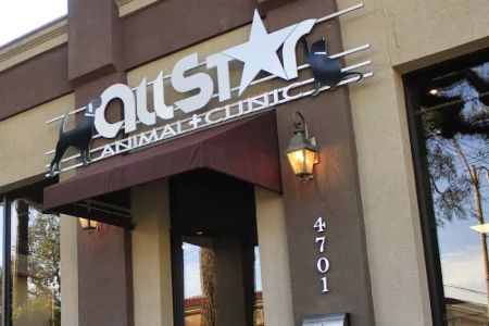 All Star Animal Clinic
