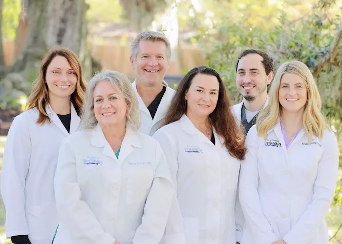 Prytania Veterinary Hospital 12