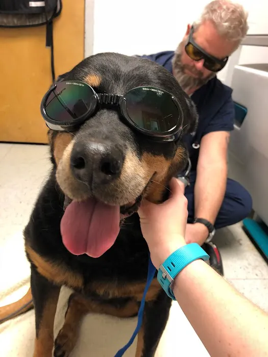 Prytania Veterinary Hospital 12