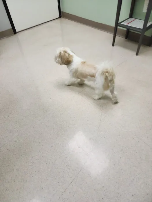 Judy Veterinary Clinic 5