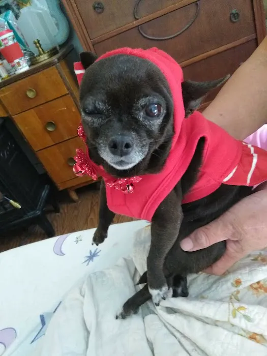 Judy Veterinary Clinic 7