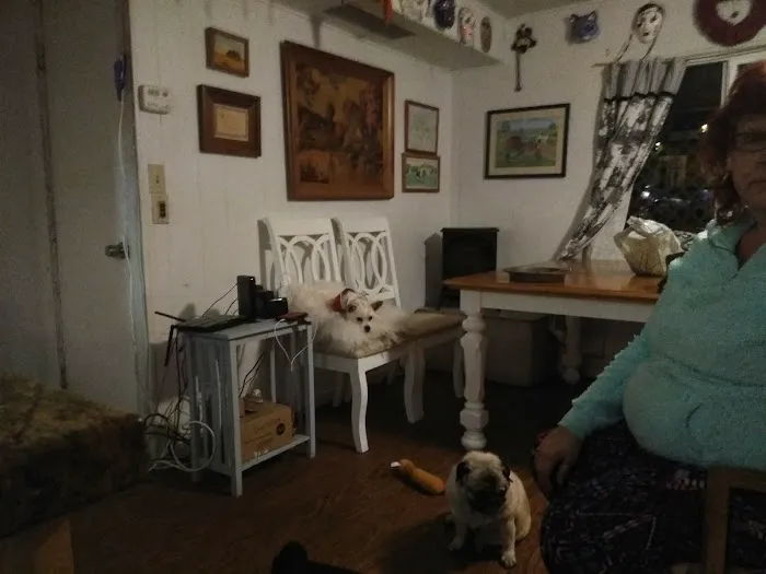 Judy Veterinary Clinic 8