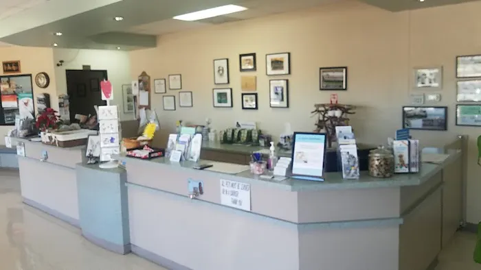 Judy Veterinary Clinic 4