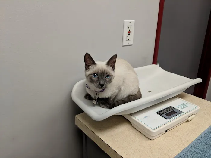 San Carlos Animal Hospital 1