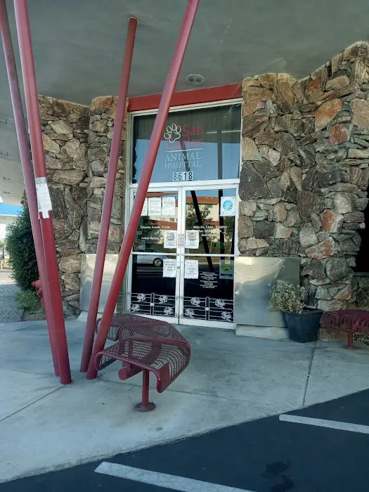 San Carlos Animal Hospital 2