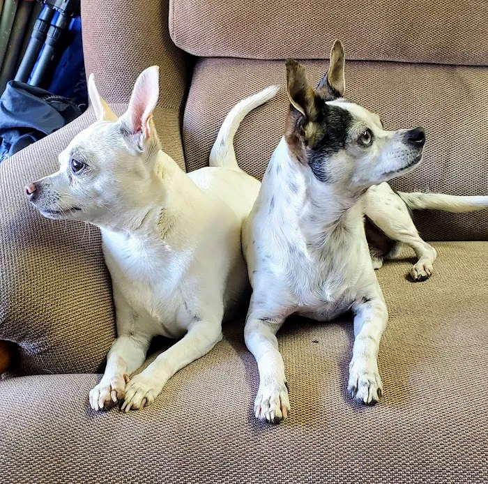 Cuyamaca Animal Hospital Inc: A. Behrman DVM, L. Martin DVM, A. Kanholm DVM , M. Saele DVM 2
