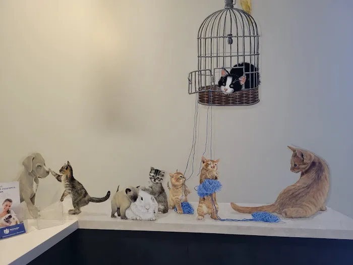 Cuyamaca Animal Hospital Inc: A. Behrman DVM, L. Martin DVM, A. Kanholm DVM , M. Saele DVM 8