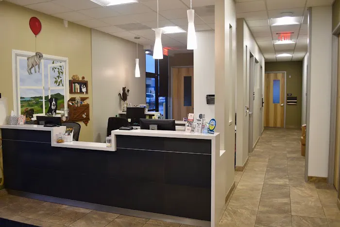 Cuyamaca Animal Hospital Inc: A. Behrman DVM, L. Martin DVM, A. Kanholm DVM , M. Saele DVM 6