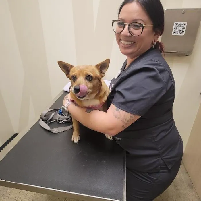 Vetco Total Care Animal Hospital 12