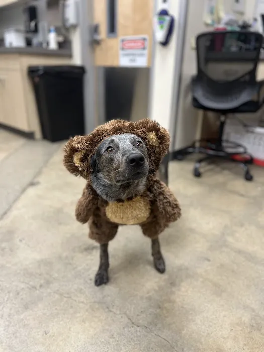 Vetco Total Care Animal Hospital 12