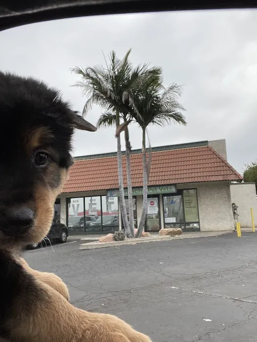 Jamacha Pet Vets 12