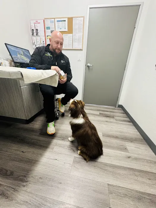 Jamacha Pet Vets 12