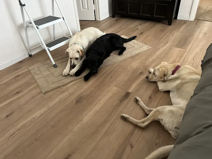 Banfield Pet Hospital 12