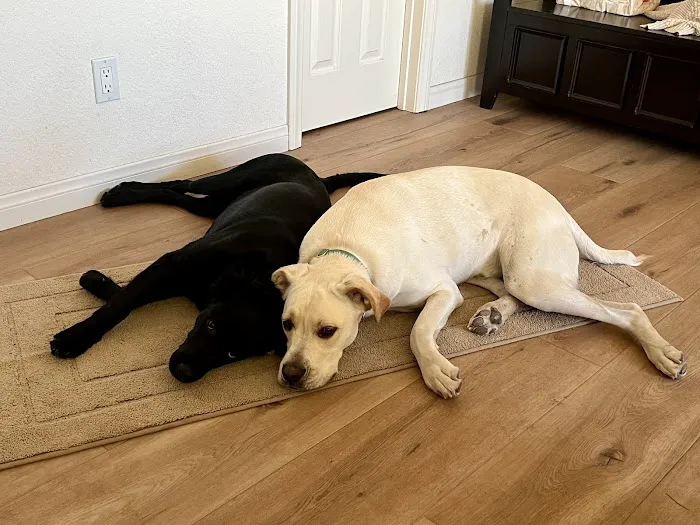 Banfield Pet Hospital 12