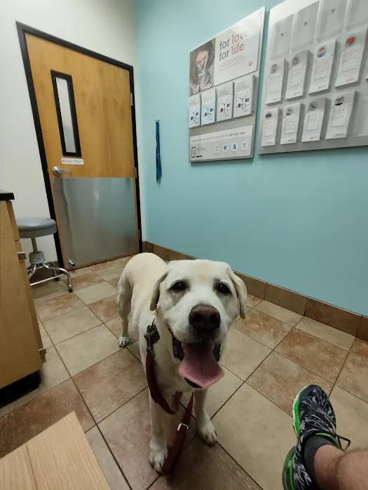 Banfield Pet Hospital 12