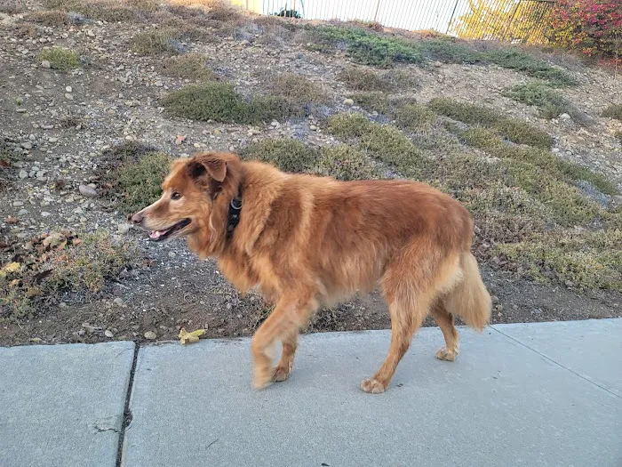 Spring Valley Veterinary Clinic 7