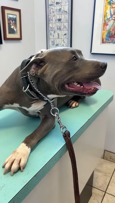 Spring Valley Veterinary Clinic 1