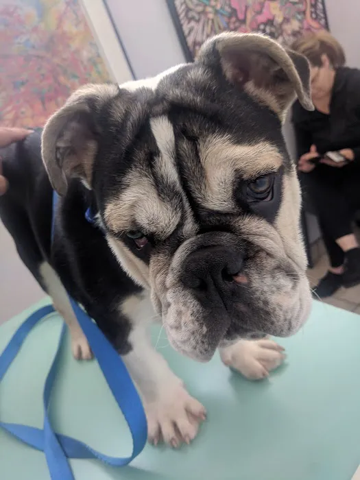 Spring Valley Veterinary Clinic 3