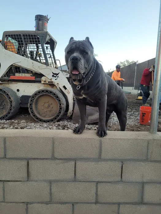 Spring Valley Veterinary Clinic 10