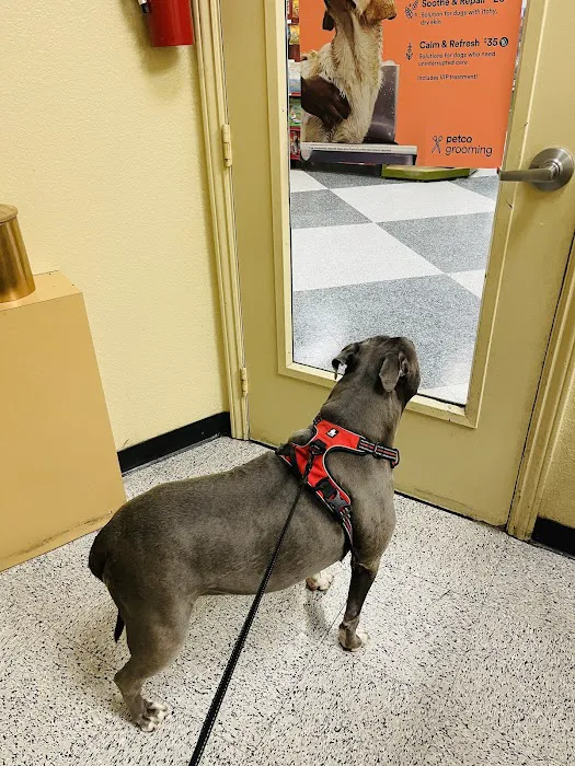 Vetco Vaccination Clinic 12