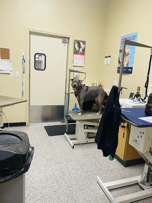 Vetco Vaccination Clinic 12