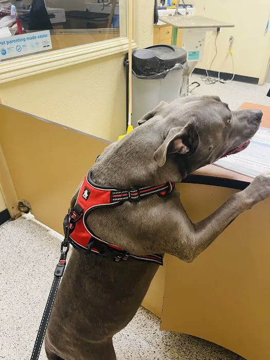 Vetco Vaccination Clinic 12