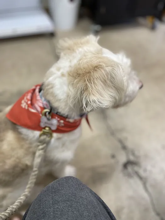 The Helix Pet Hospital 6