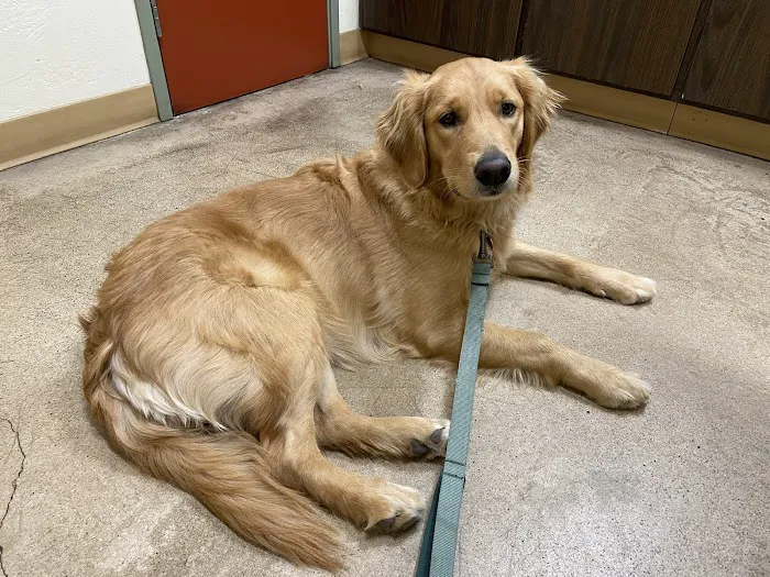 The Helix Pet Hospital 9