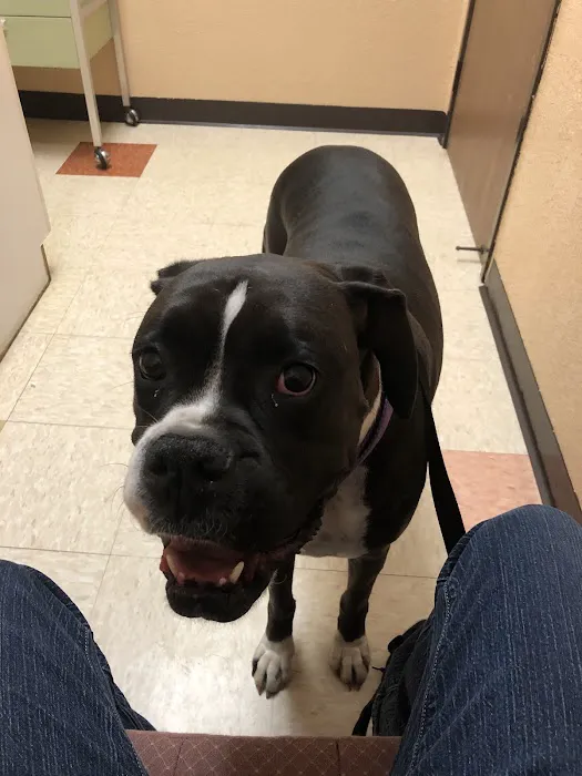 Steele Canyon Veterinary Clinic 6