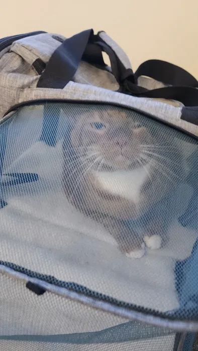 Fletcher Hills Animal Hospital 8
