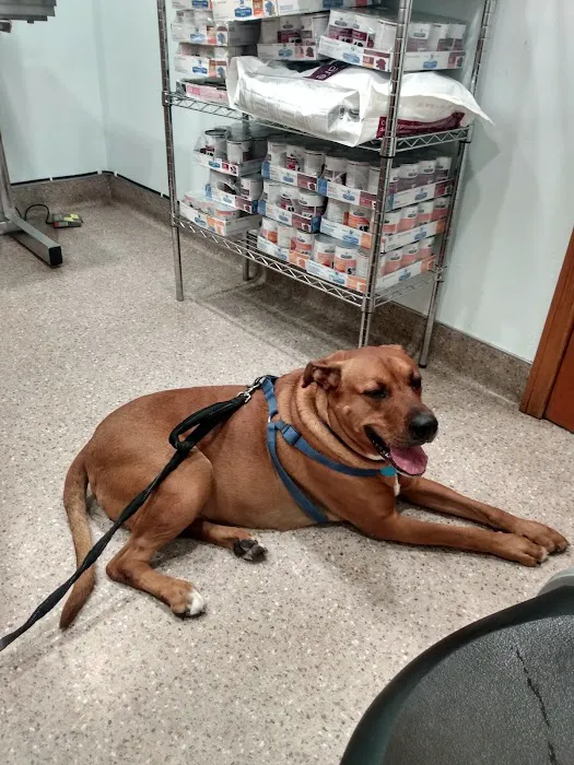 Spring Valley Animal Med Hospital 3