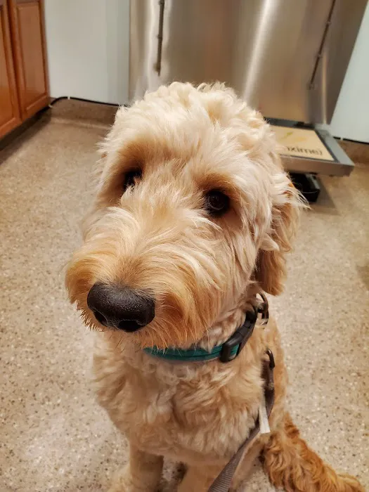 Spring Valley Animal Med Hospital 5