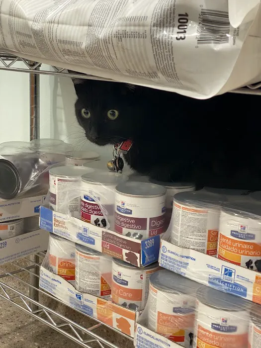Spring Valley Animal Med Hospital 10