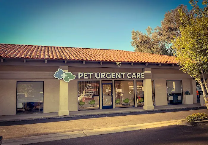 Dermatology for Animals - San Diego 12