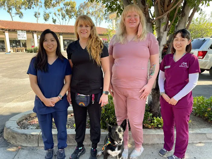 Dermatology for Animals - San Diego 12