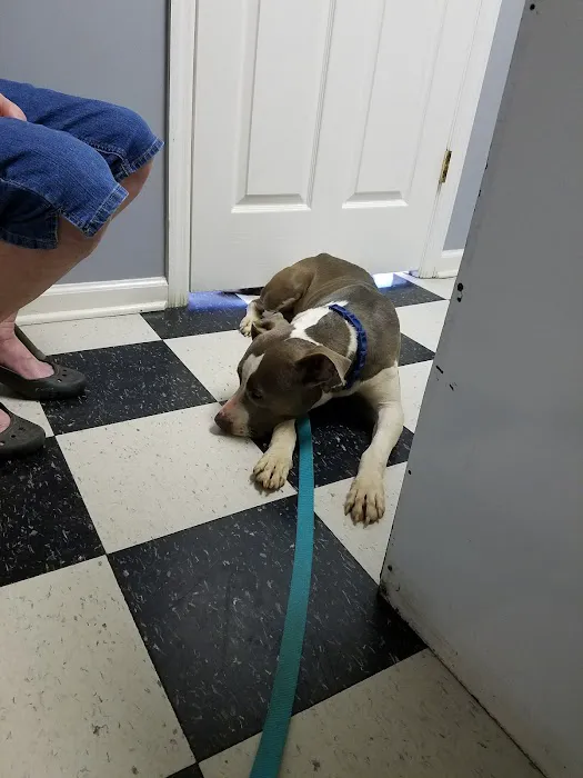 The Ark Veterinary Services 12