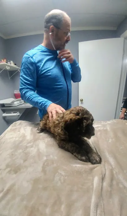 The Ark Veterinary Services 12