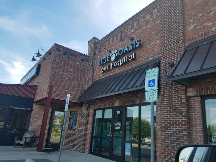 Blue Oasis Pet Hospital 12