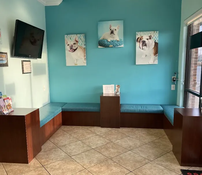 Blue Oasis Pet Hospital 12