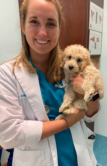 Blue Oasis Pet Hospital 12