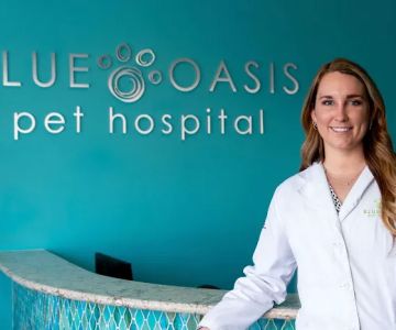 Blue Oasis Pet Hospital