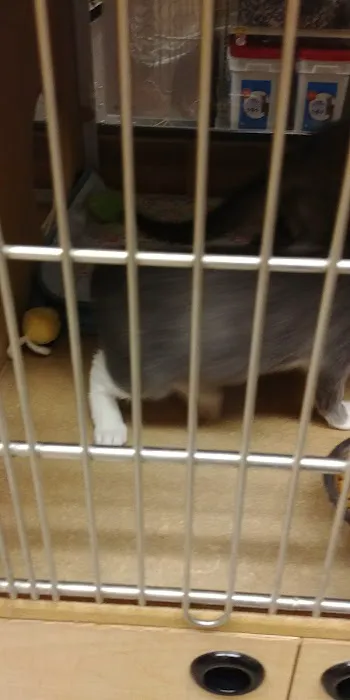 Banfield Pet Hospital 3